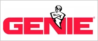 genie.jpg.bv